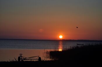 Gut nisdorf bodden