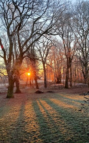 Wintersonne-park-mummenhof