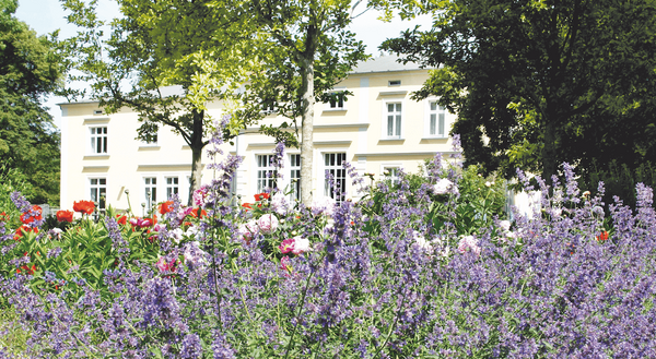 Gutshaus  Kornspeicher Landsdorf garten