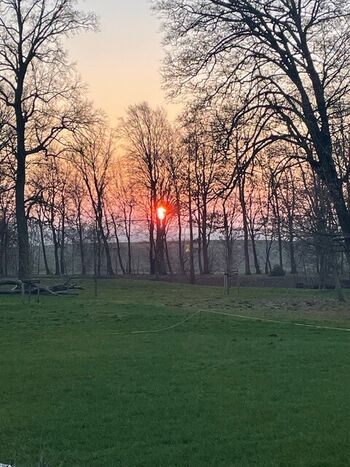 Park-gut-rosengarten-sunset